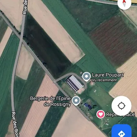 Petit En Baie De Somme *